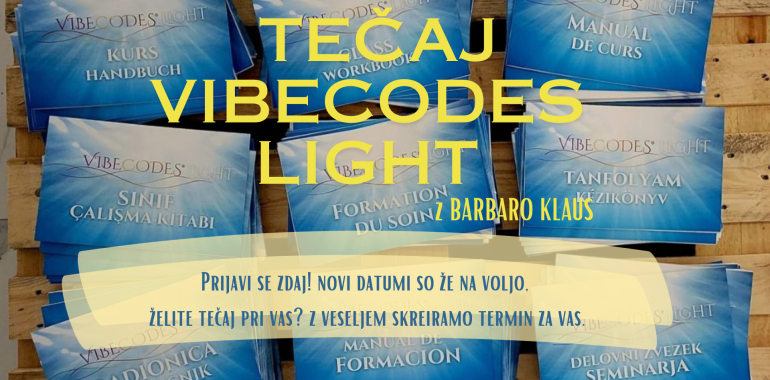 VIBECODES pokušine in mini 4 urni  VIBECODES LIGHT tečaj