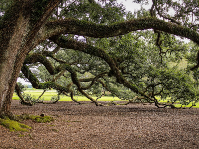 Tedenska energijska napoved (21. - 27.4. 2025): si unikat in edinstveno prispevaš svetu!
