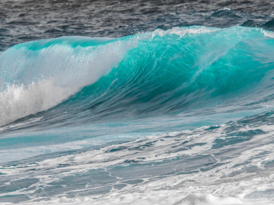 Ni rojstva brez popadkov