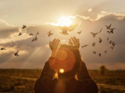 NOVOST: Enodnevna popolna transformacija zate - Koper