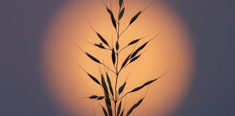 Energijski tok tedna (9. - 16. 11. 2025): krivda te vabi, da si odpustiš!