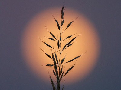 Energijski tok tedna (9. - 16. 11. 2025): krivda te vabi, da si odpustiš!