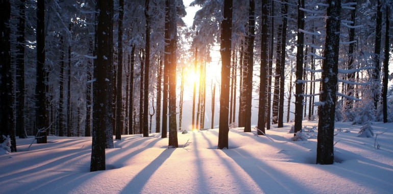 Zvočna manifestacija ob zimskem solsticiju, s dušnim sporočilom