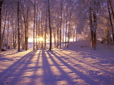 2018 - leto novih priložnosti