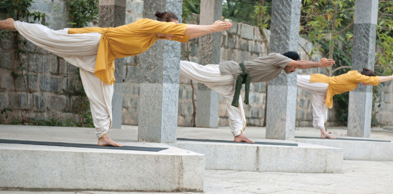 Delavnica Yogasan v Ljubljani, ISHA HATHA YOGA