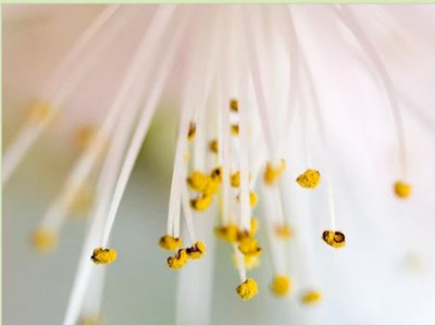 Zaupaj svoji resnični naravi