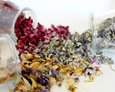 Top 10 zelišč za krepitev dihal, močna pljuča, kašelj in razkuževanje