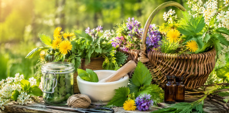 Pomladna zeliščna lekarna: kaj nabirati v aprilu za podporo telesu?