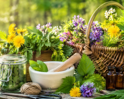 Pomladna zeliščna lekarna: kaj nabirati v aprilu za podporo telesu?