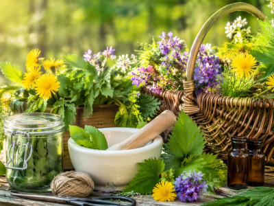 Pomladna zeliščna lekarna: kaj nabirati v aprilu za podporo telesu?