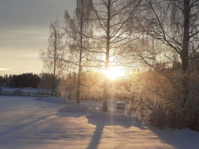 Zima je čas umirjanja, tišine in notranje prenove